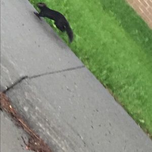 Meet your Posher, Gina